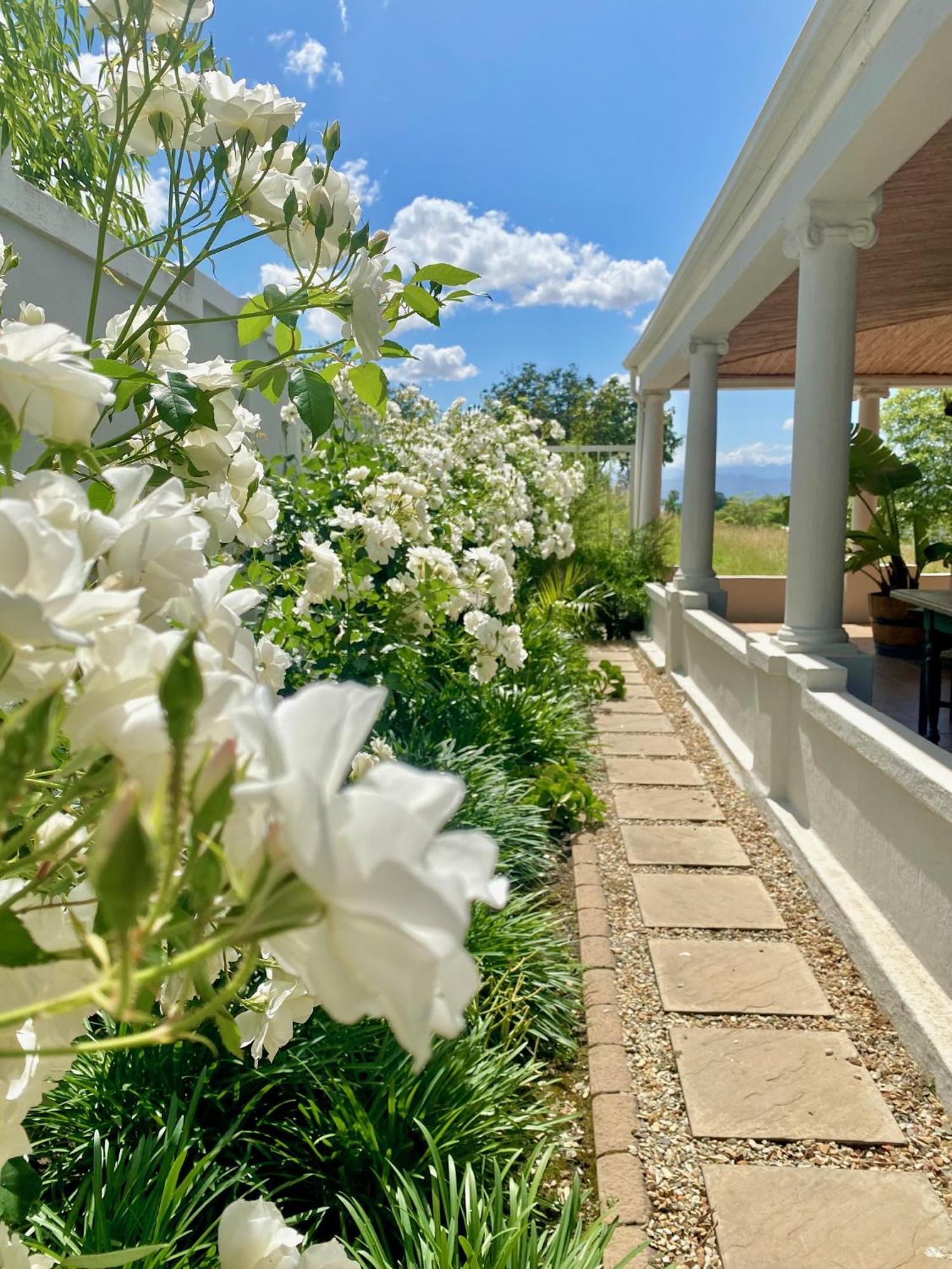 1 Royal Street Guesthouse รีบีค คาสตีล ภายนอก รูปภาพ