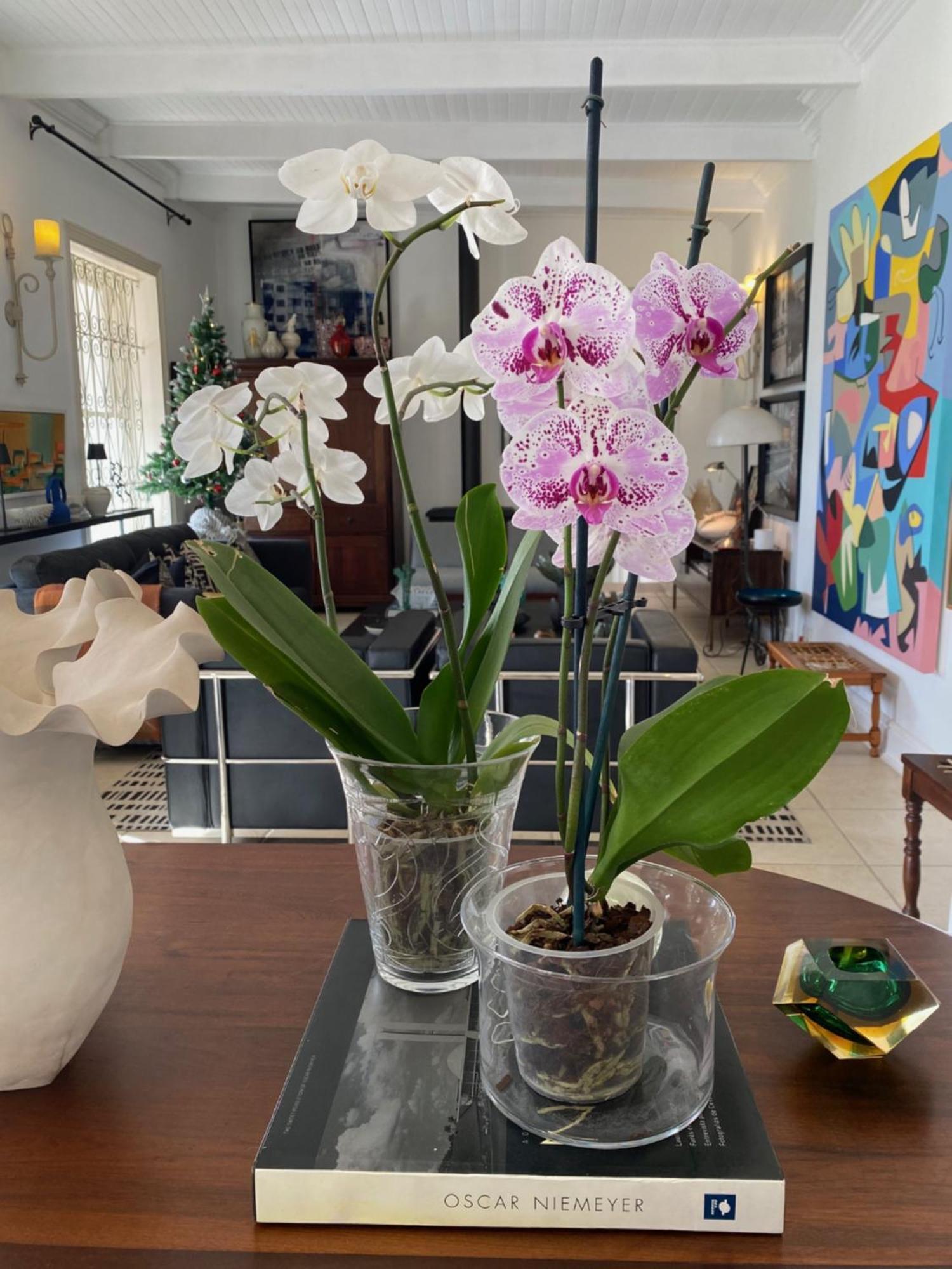 1 Royal Street Guesthouse รีบีค คาสตีล ภายนอก รูปภาพ